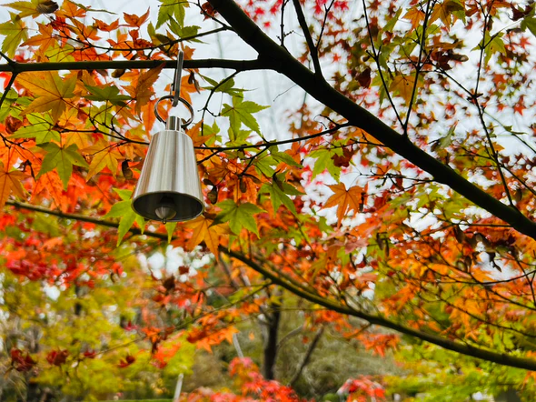 DaiFeel 熊鈴〈無地〉