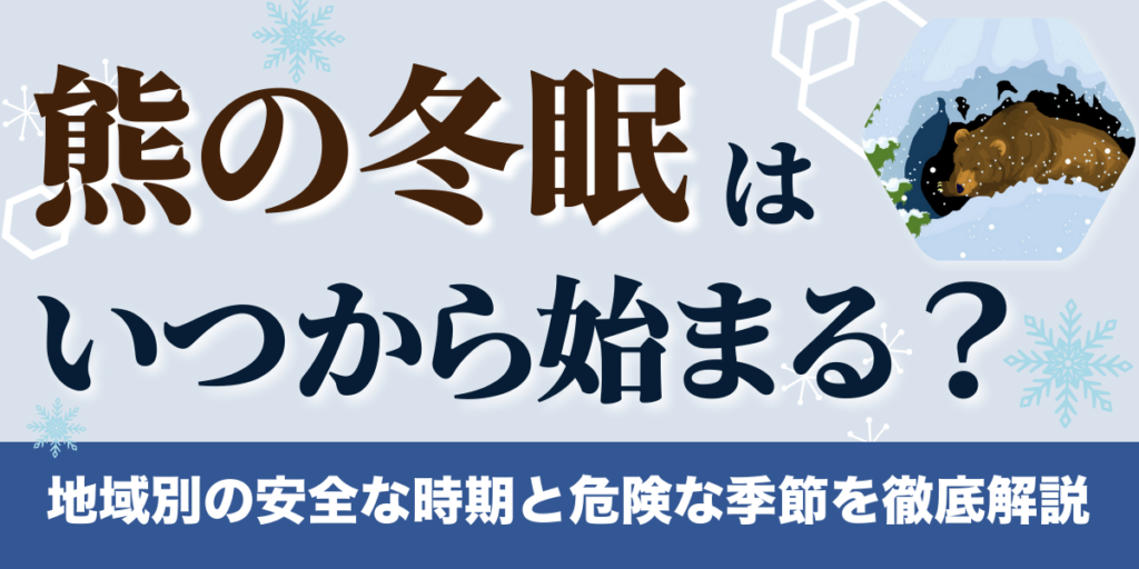 熊の冬眠はいつから始まる？地域別の安全な時期と危険な季節を徹底解説