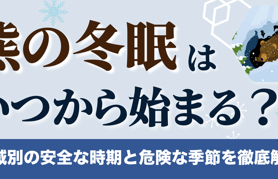 熊の冬眠はいつから始まる？地域別の安全な時期と危険な季節を徹底解説